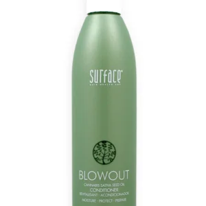 CaryStyleSmith.com-blowout-conditionerR_8OZ