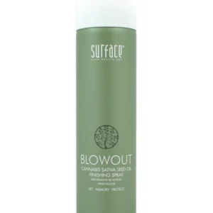 CaryStyleSmith.com-blowout-finishing-spray