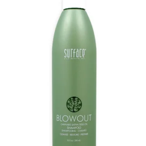 CaryStyleSmith.com-blowout-shampoo_10OZ