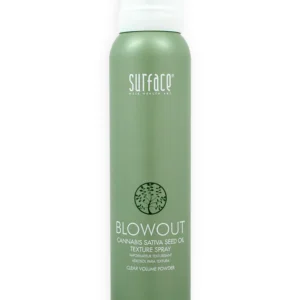 CaryStyleSmith.com-blowout-texture-spray_4OZ